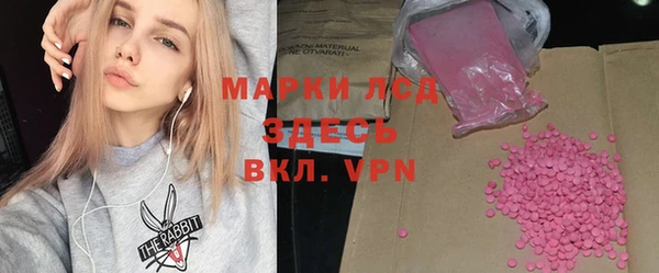 индика Вяземский