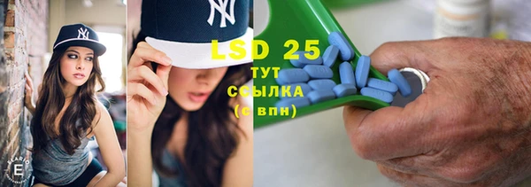 индика Вяземский
