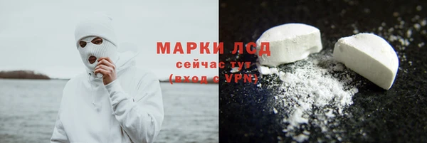индика Вяземский
