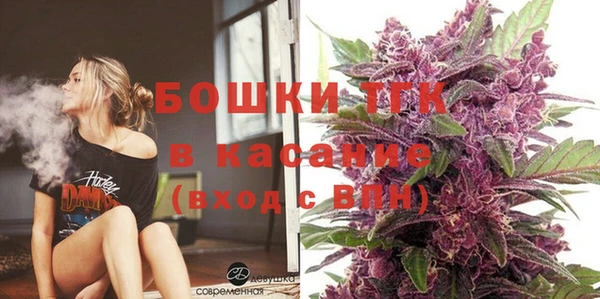 молекула духа Горняк