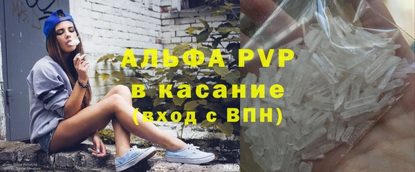 индика Вяземский
