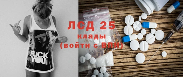 индика Вяземский