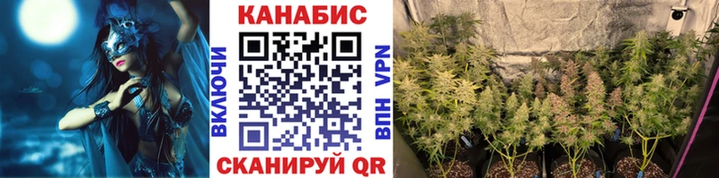 Каннабис ГИДРОПОН  Новочебоксарск 